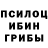 Псилоцибиновые грибы мухоморы Gamabunta