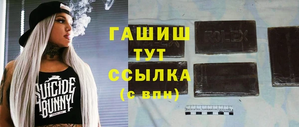 гашик Алексин