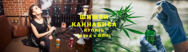 гашик Алексин