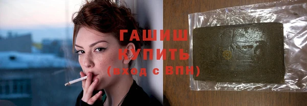 гашик Алексин