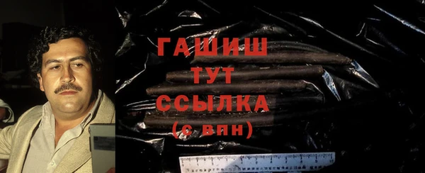 гашик Алексин