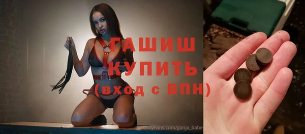 гашик Алексин