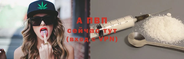 гашик Алексин