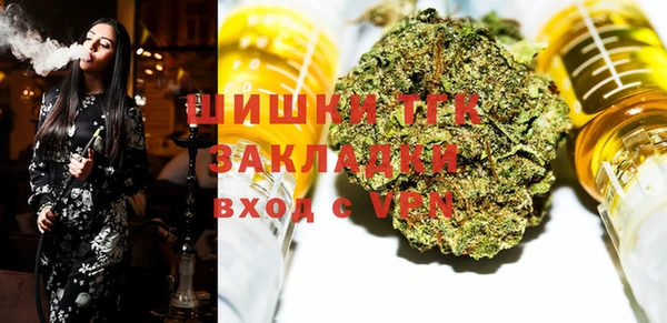 гашик Алексин