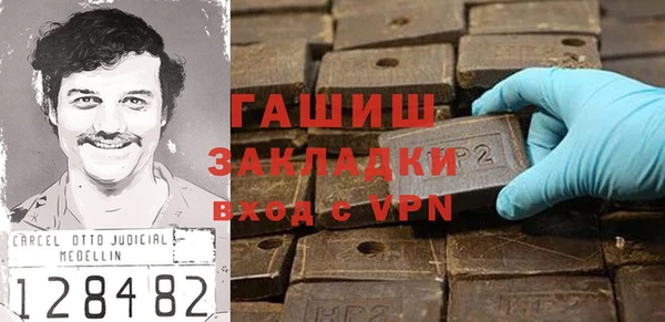 гашик Алексин