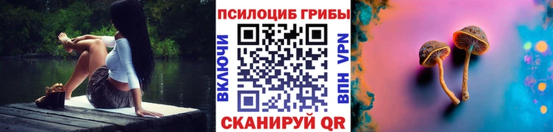 сайты даркнета как зайти Слободской Галлюциногенные грибы мицелий закладки